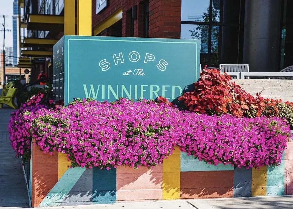 Color-block painted planter full of pink flowers at the Shops at the Winnifred
